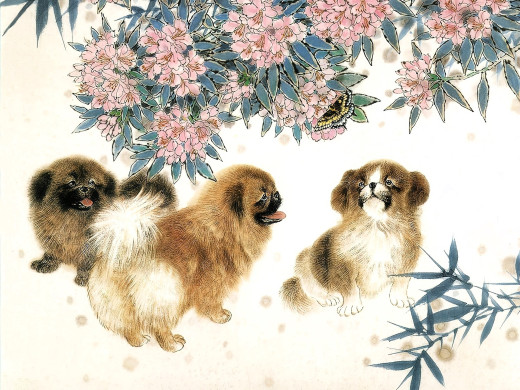 1680577 (a): :1920x1440
